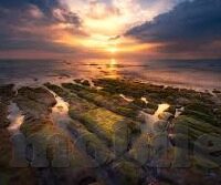 大象喷水视频集锦-探索自然界的奇妙瞬间，大象喷水视频集锦的欢乐与奥秘