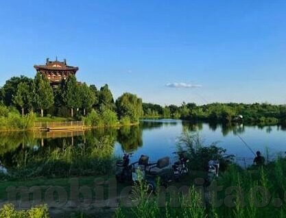 麻豆网站app下载-选择与边界，解析成人娱乐APP麻豆的模糊地带