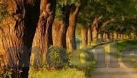 聂小倩董小宛果冻传媒-聂小倩与董小宛，穿越时空的果冻情缘