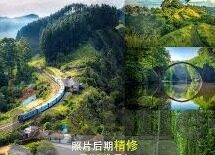 日韩av丝袜无码种子-日韩AV文化中的丝袜元素与无码种子探索