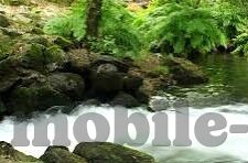 中文字幕在线不卡二区-中文字幕在线观影的流畅体验——二区无卡顿观影指南